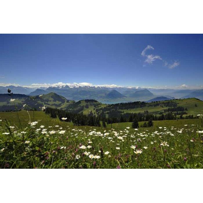 스위스 취리히 산의 여왕: 리기와 루체른 일일 여행 이미지 3