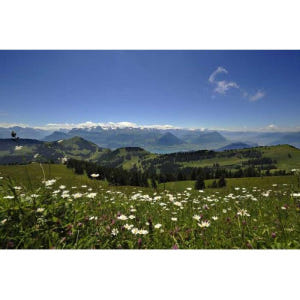 스위스 취리히 산의 여왕: 리기와 루체른 일일 여행 솔직 후기 | 실사용자 리뷰 분석 - 상품 이미지 3