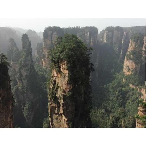 중국 후난성 장자제 국립 삼림공원 전일 프라이빗 투어 솔직 후기 | 실사용자 리뷰 분석 - 대표 이미지