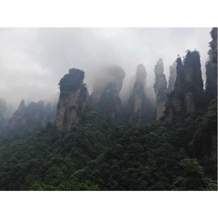 중국 후난성 장자제 국립 삼림공원 전일 프라이빗 투어 이미지 4