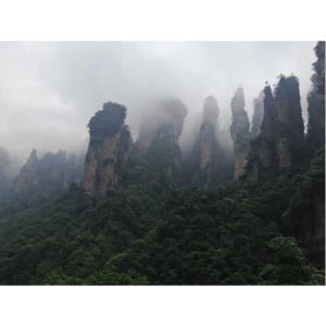 중국 후난성 장자제 국립 삼림공원 전일 프라이빗 투어 솔직 후기 | 실사용자 리뷰 분석 - 상품 이미지 4