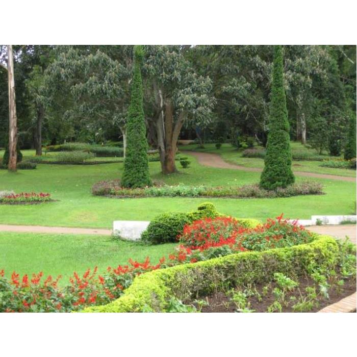 미얀마 만달레이에서 출발: 핀우린(메이묘)까지 종일 여행 이미지 4