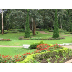 미얀마 만달레이에서 출발: 핀우린(메이묘)까지 종일 여행 솔직 후기 | 실사용자 리뷰 분석 - 상품 이미지 4