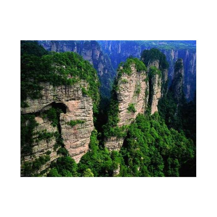 중국 후난성 장자제 국립 삼림공원 전일 프라이빗 투어 이미지 3