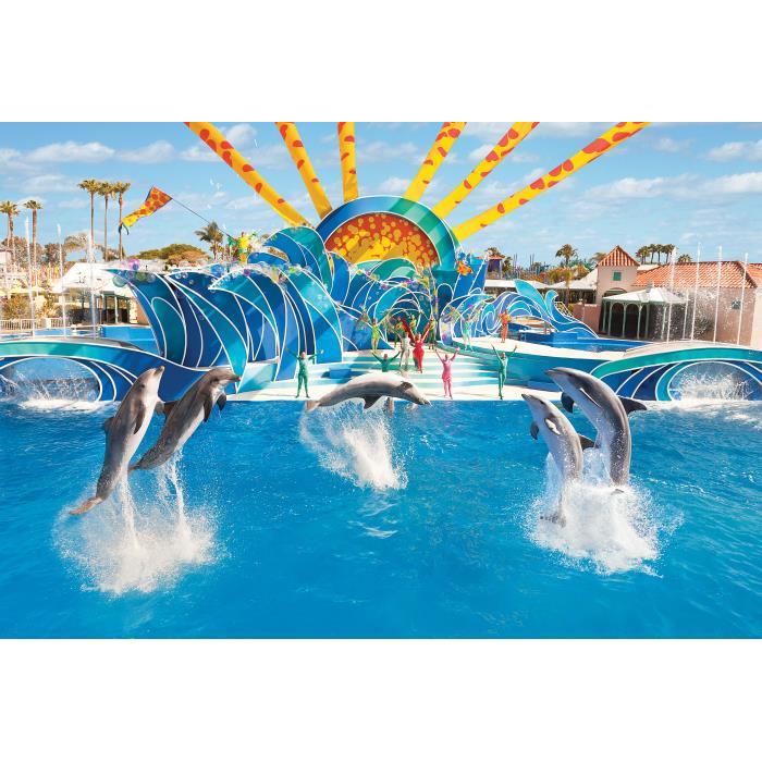 미국 플로리다 올랜도 씨월드 올랜도 이미지 3