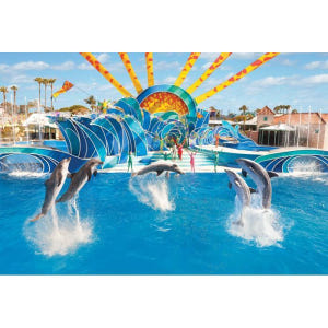 미국 플로리다 올랜도 씨월드 올랜도 솔직 후기 | 실사용자 리뷰 분석 - 상품 이미지 3