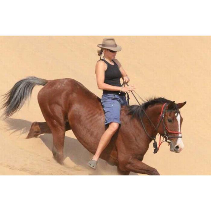 아랍에미리트 두바이 사막 공원 승마 1시간 또는 1.5시간 체험 이미지 2