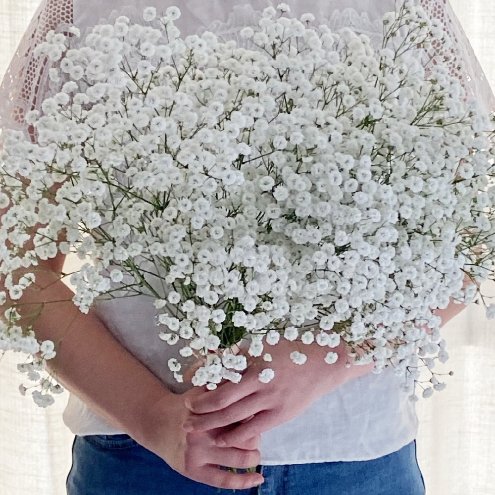 안개꽃 한단 꽃다발 셀프웨딩 부케 꽃배달 싼곳 생화택배 솔직 후기 | 실사용자 리뷰 분석 - 대표 이미지