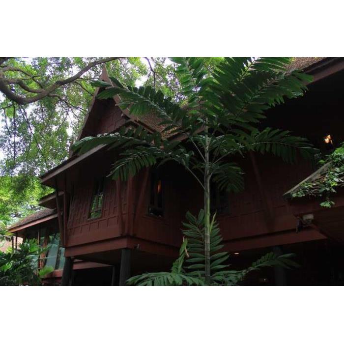 태국 방콕 짐 톰슨 하우스 및 반 크루아 커뮤니티 투어 이미지 3