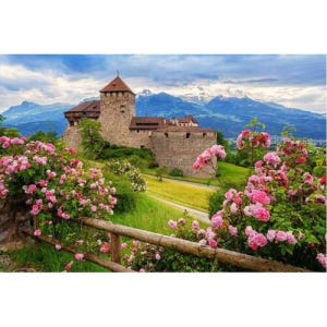 스위스 취리히에서 출발: 리히텐슈타인과 하이디랜드 프라이빗 여행 솔직 후기 | 실사용자 리뷰 분석 - 상품 이미지 1