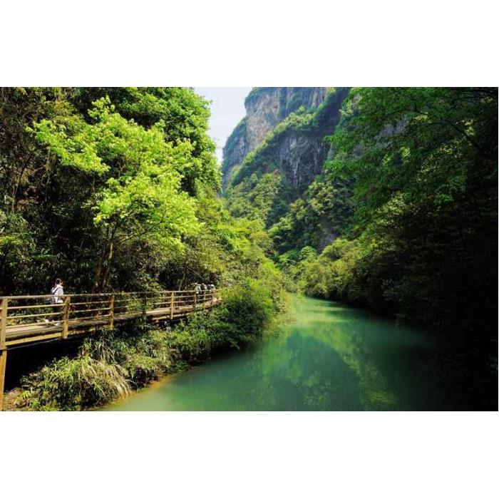 중국 후난성 장자제 유리 다리를 이용한 장가계 대협곡 프라이빗 투어 이미지 3