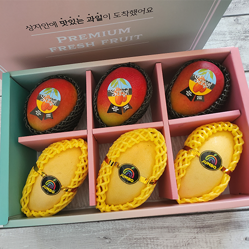 [신선더함] 실패없는 고당도 태국 애플망고 선물세트 오직 항공수입 - 상세 이미지 4