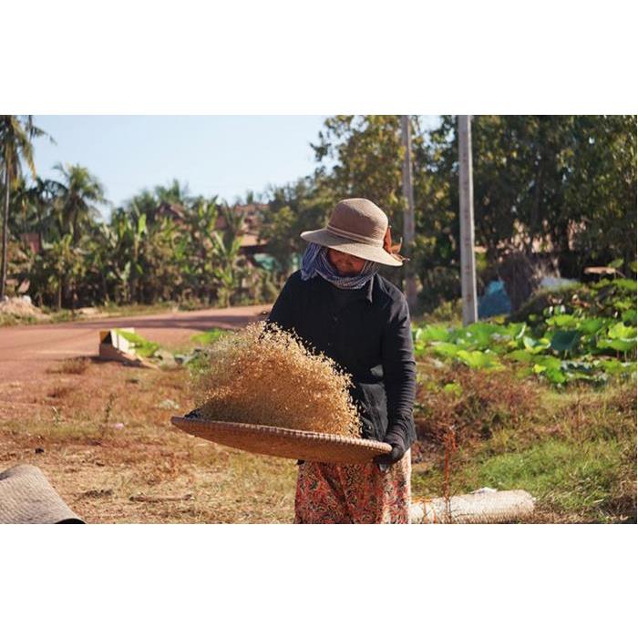 캄보디아 시엠립 일몰 감상 투어 이미지 2