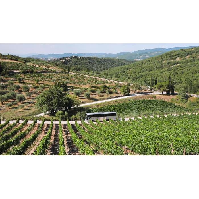 이탈리아 키안티 지역 당일 여행 + 포도원 투어 (피렌체 출발) 이미지 4