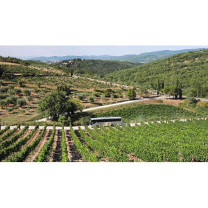 이탈리아 키안티 지역 당일 여행 + 포도원 투어 (피렌체 출발) 솔직 후기 | 실사용자 리뷰 분석 - 상품 이미지 4