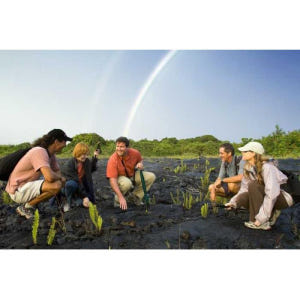 미국 하와이 빅아일랜드 코나와 와이콜로아에서 출발 킬라우에아 화산 디스커... 솔직 후기 | 실사용자 리뷰 분석 - 상품 이미지 4