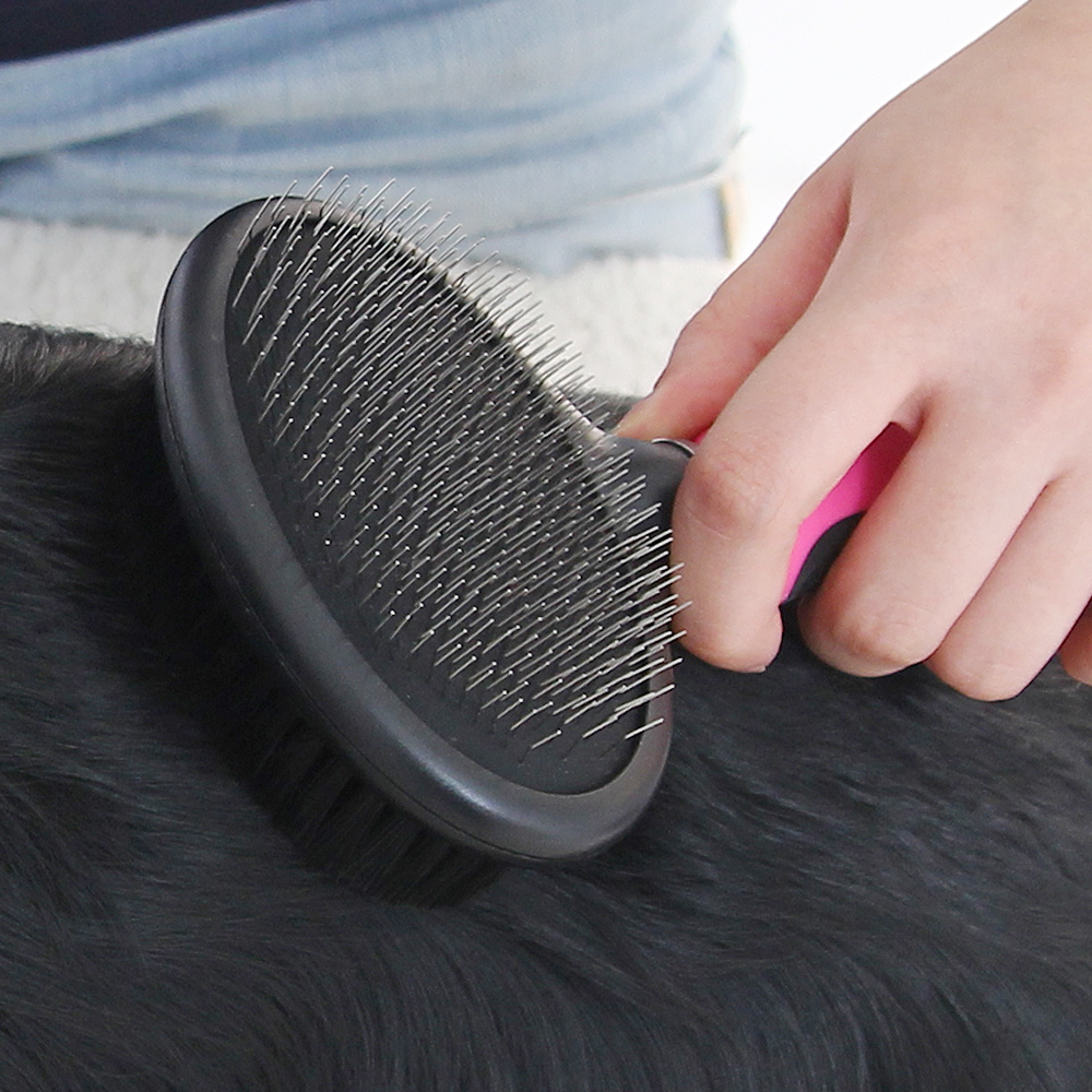 바비온 강아지 고양이 빗 슬리커 브러쉬 038R