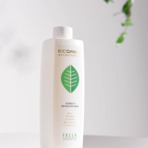 에코레비 후레쉬 쿨링샴푸 500ml 두피 스케일링 미용실 쿨 시원한 여름... 솔직 후기 | 피부 타입별 분석 - 상품 이미지 4