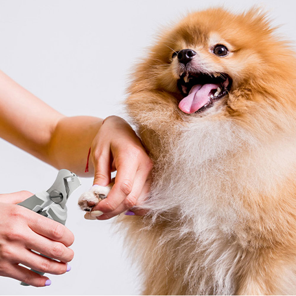 바비온 강아지 애견 고양이 안전 발톱 깎이 023R