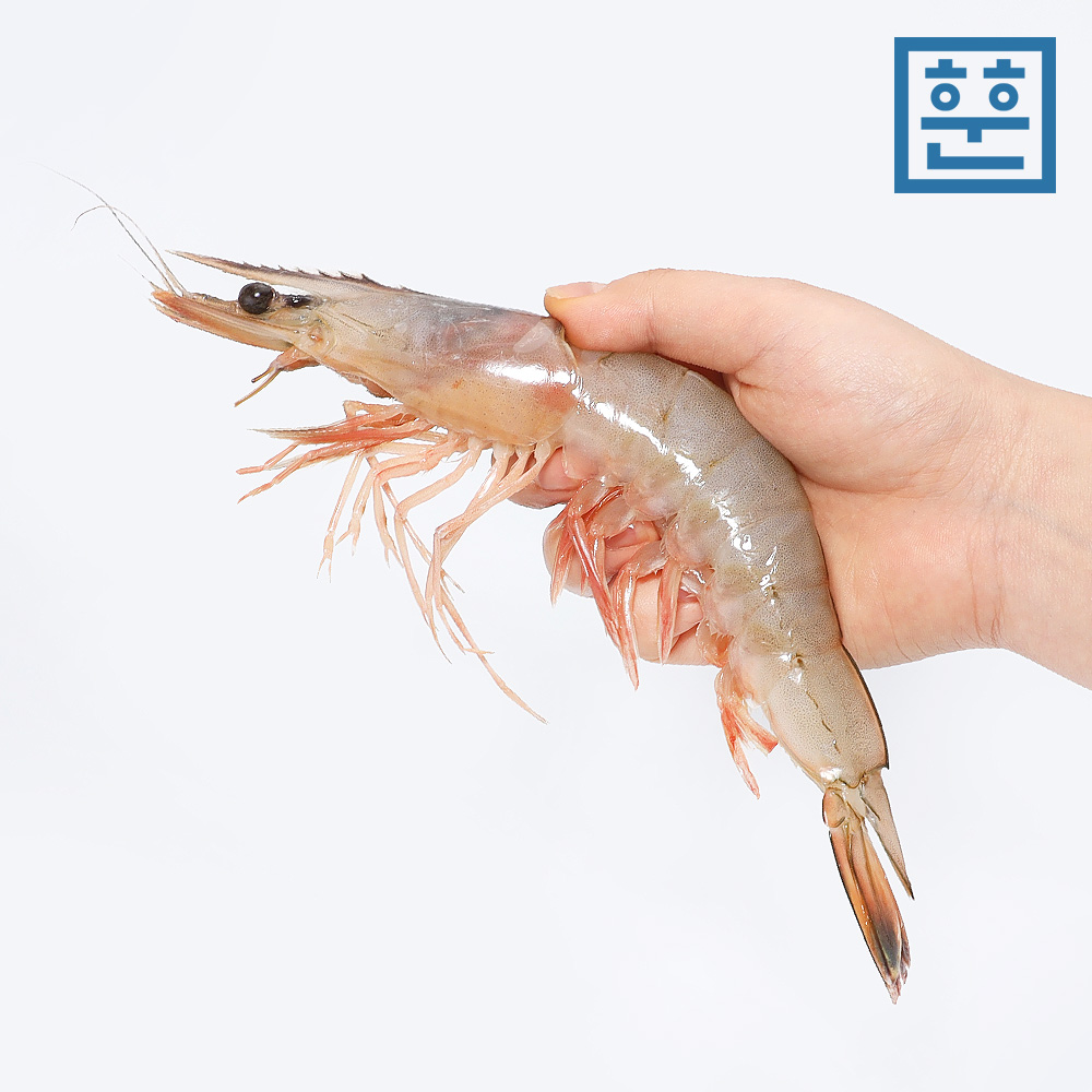 훈훈수산 제철 자연산 대하 암대하 서해 국내산 특대 왕새우 이미지 6
