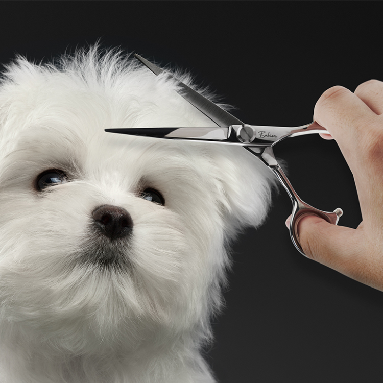 바비온 강아지 애견 미용가위 EL 15cm(6인치) 일자가위 E2-601S