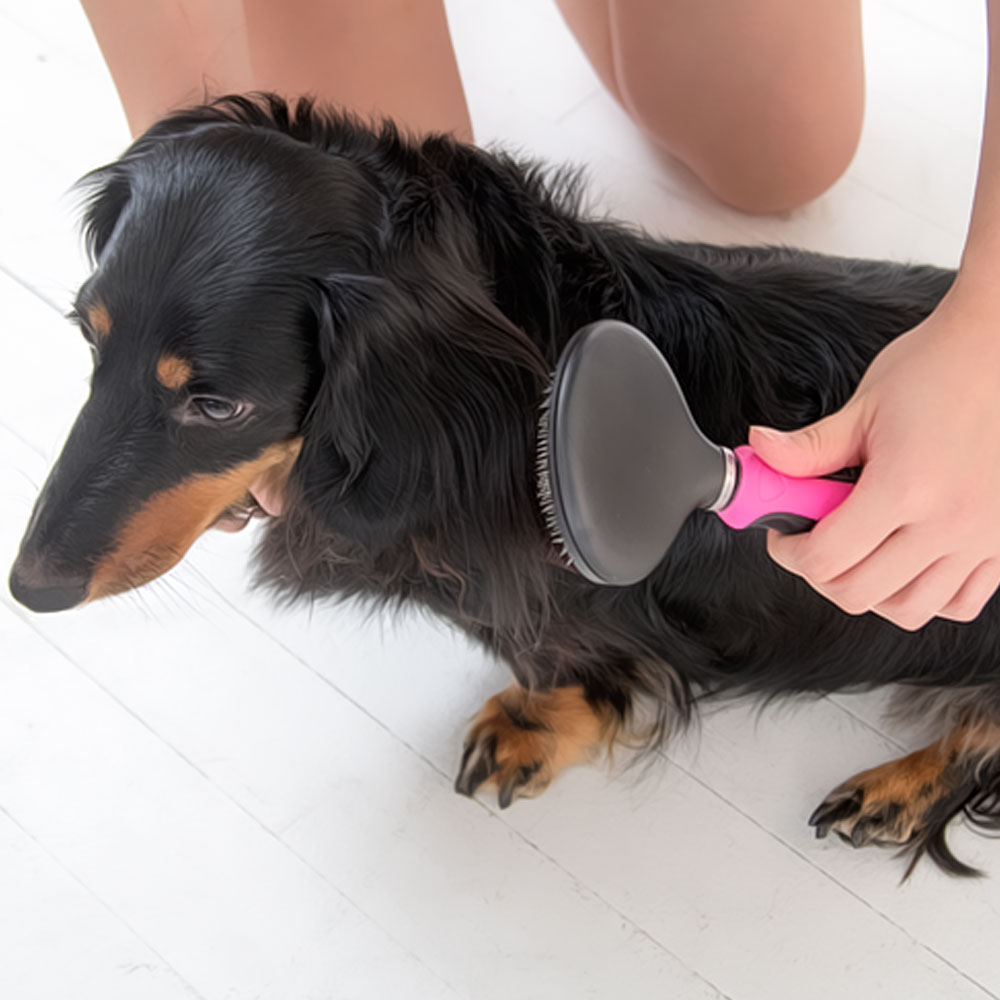 바비온 강아지 고양이 빗 슬리커 브러쉬 037R