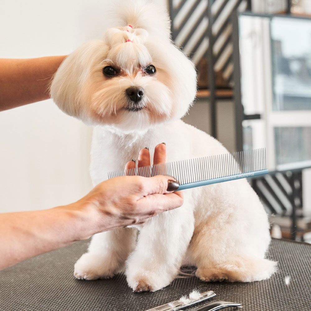 바비온 정전기 방지 강아지 빗 고양이 털 그루밍 브러쉬 애견 미용 대형 콤 BCE3587