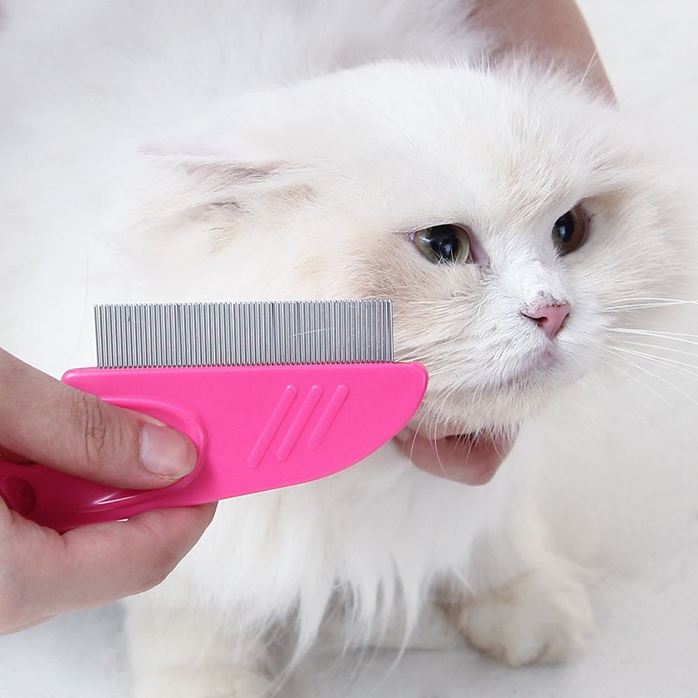 바비온 강아지 고양이 눈꼽 빗 브러쉬 AD60R