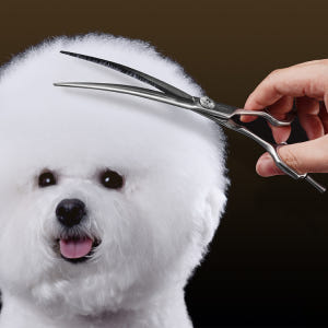 바비온 ML 강아지 애견 커브 가위 미용가위 M4-751C 18.5cm(... 솔직 후기 | 실제 사용자 리뷰 총정리 - 상품 이미지 1