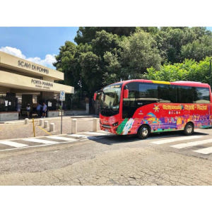 이탈리아 나폴리에서 폼페이까지 왕복 셔틀버스 솔직 후기 | 실사용자 리뷰 분석 - 상품 이미지 3