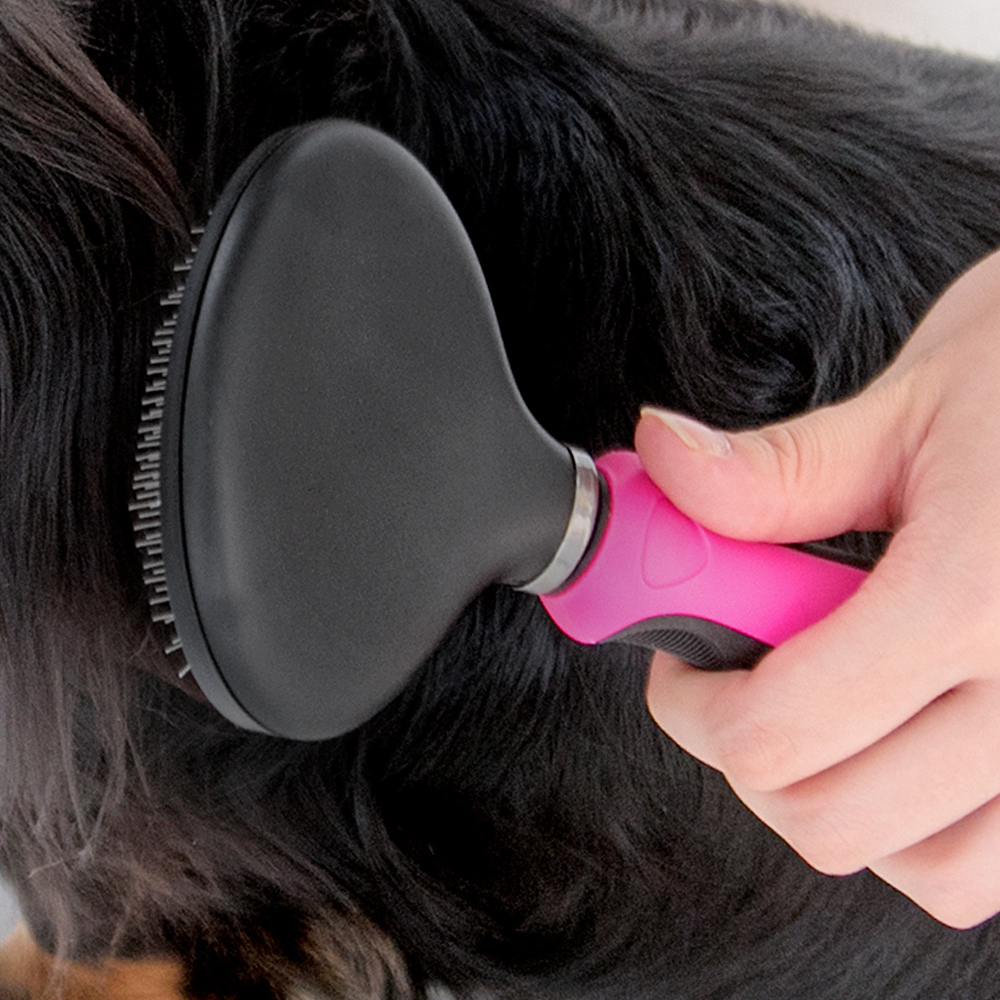 바비온 강아지 고양이 빗 슬리커 브러쉬 037R