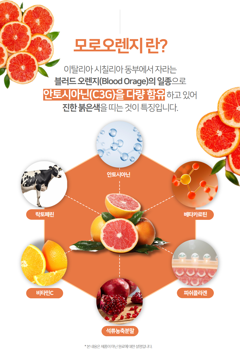 모르실 효능 모로실 모로오렌지 C3G 락토페린 프리미엄 HACCP 인증 60정, 2개 - 상세 이미지 3
