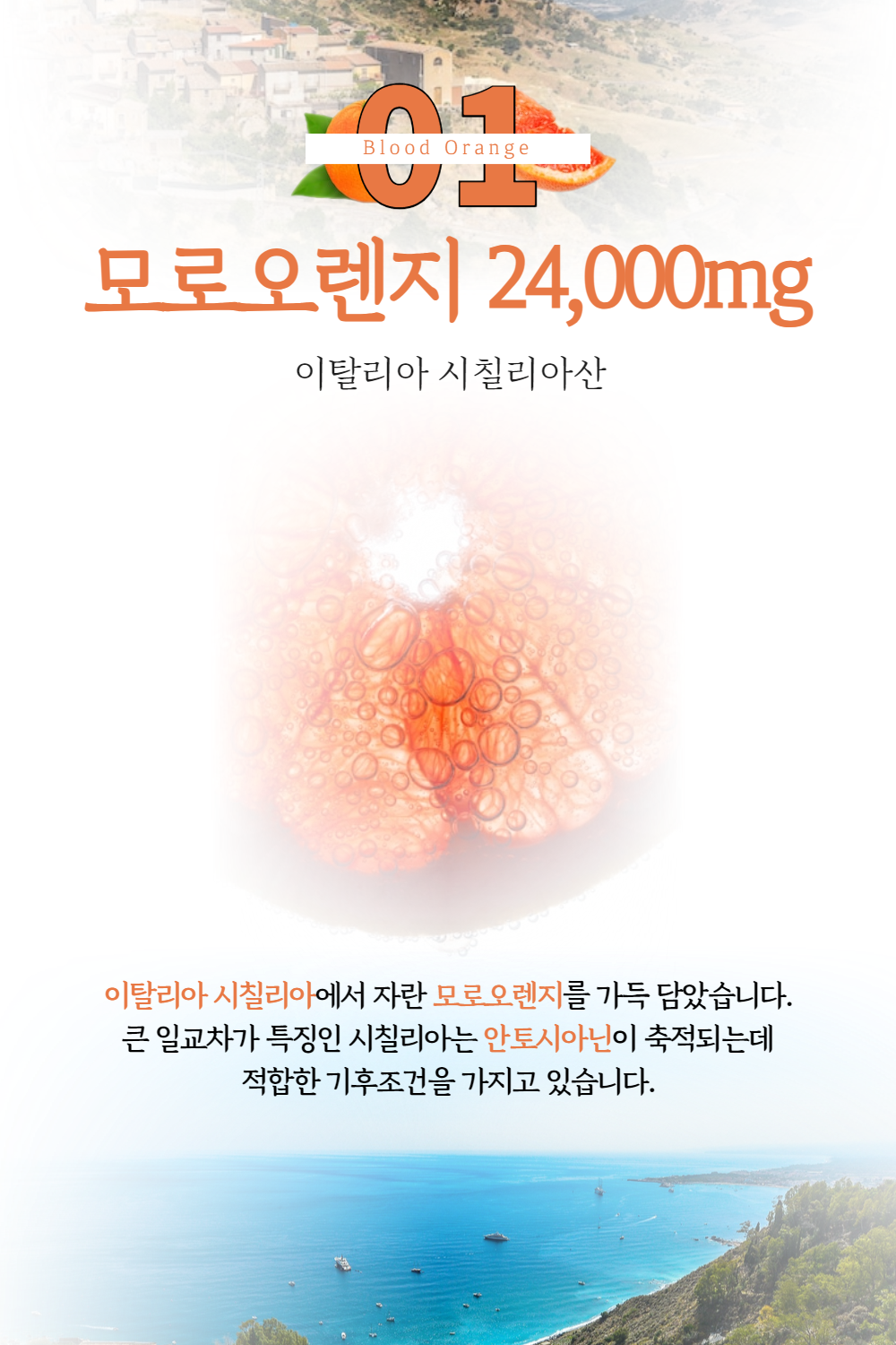 모르실 효능 모로실 모로오렌지 C3G 락토페린 프리미엄 HACCP 인증 60정, 1개 이미지 8