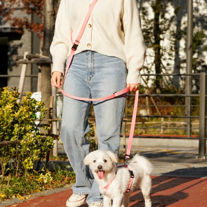 아띠지기 강아지 핸즈프리 리드줄 멀티 솔직 후기 | 실제 사용자 리뷰 총정리 - 상품 이미지 4