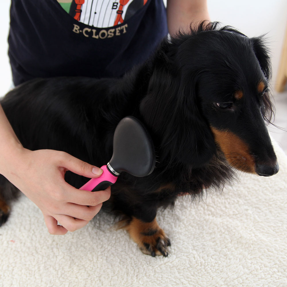 바비온 강아지 고양이 빗 슬리커 브러쉬 037R