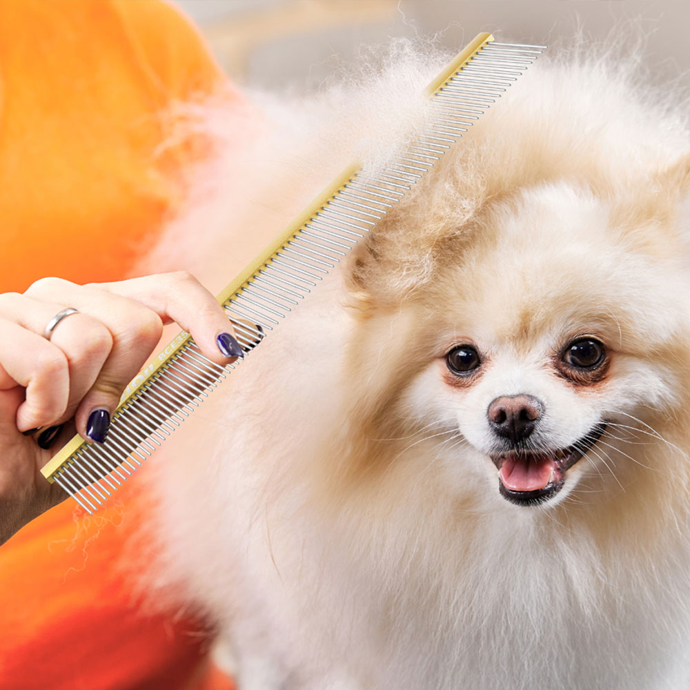 바비온 정전기 방지 강아지 빗 고양이 털 그루밍 브러쉬 애견 미용 대형 콤 BCE3587