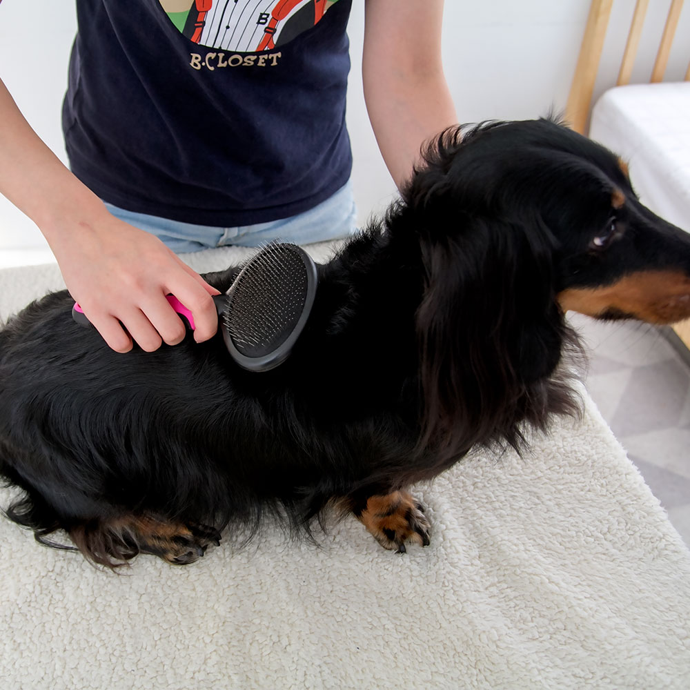 바비온 강아지 고양이 빗 슬리커 브러쉬 038R