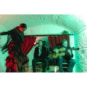 스페인 그라나다 동굴 입장권의 전통 플라멩코 쇼 공연 입장권 솔직 후기 | 실사용자 리뷰 분석 - 상품 이미지 2