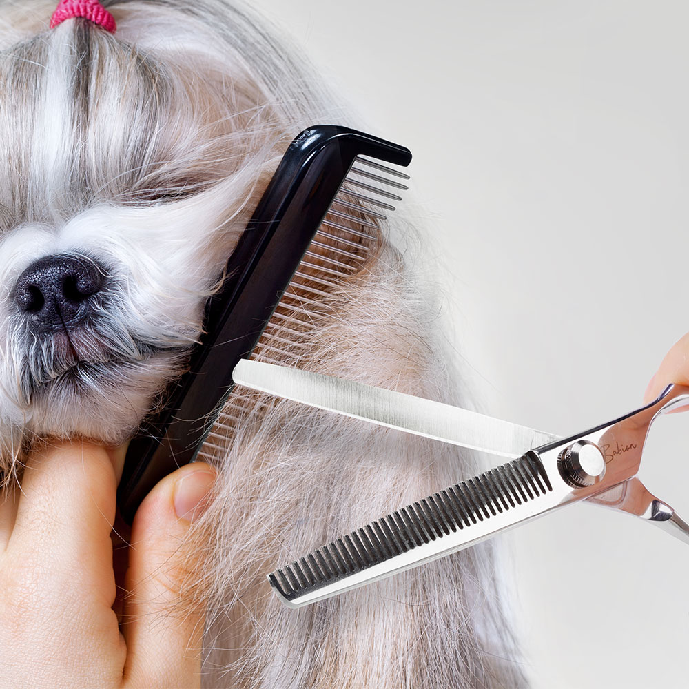 바비온 EL 강아지 애견 숱 가위 미용가위 E2-6540T 16.5cm(6.5인치)