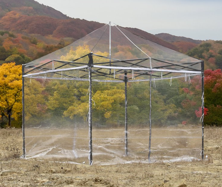 여바라 투명천막 접이식 캐노피 포장마차천막 옥상 행사용 풀세트 2x2 베이직골조 - 상세 이미지 4