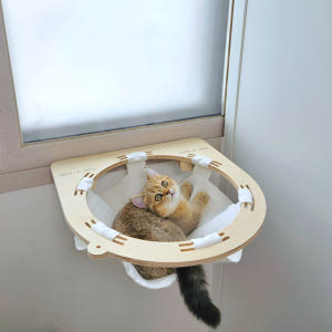 캣돌 고양이창문 해먹 창틀 윈도우 냥틀 소형 투명해먹 카펫미포함 3col... 솔직 후기 | 실제 사용자 리뷰 총정리 - 상품 이미지 2