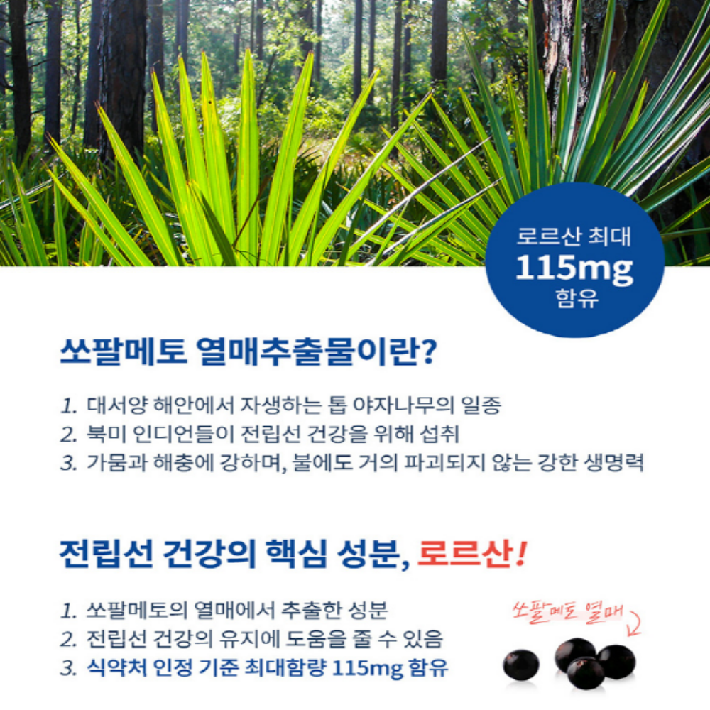 엔젯오리진 쏘팔메토 소팔매토 옥타코사놀 로르산 전립선 - 상세 이미지 5
