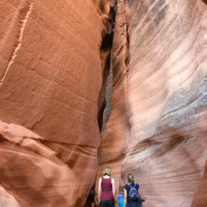 미국 서부 애리조나주 | 앤털로프 캐니언 X 입장권 | 전문 가이드 포함 솔직 후기 | 실사용자 리뷰 분석 - 상품 이미지 2