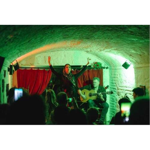 스페인 그라나다 동굴 입장권의 전통 플라멩코 쇼 공연 입장권 이미지 1