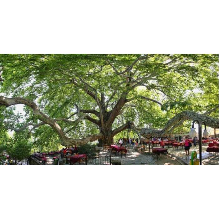 튀르키예 이스탄불 출발 부르사 프라이빗 가이드 투어 이미지 3