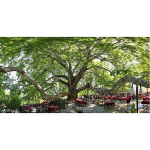 튀르키예 이스탄불 출발 부르사 프라이빗 가이드 투어 솔직 후기 | 실사용자 리뷰 분석 - 상품 이미지 3