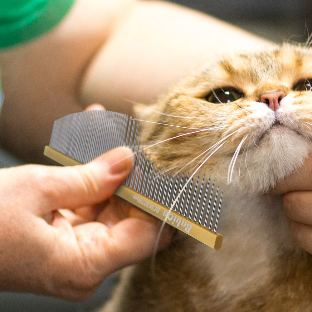 바비온 엑스퍼트펫 정전기 방지 반달콤 강아지 페이스콤 BCM3079hm