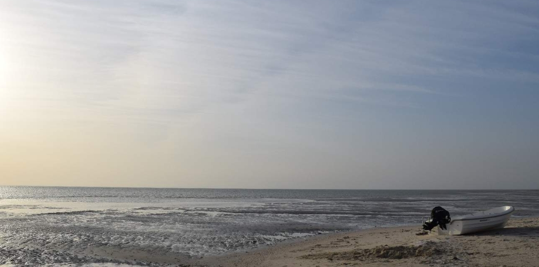 카타르 도하 코 알 아다이드 가이드 투어 이미지 3