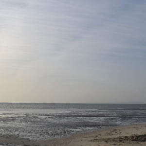 카타르  도하 코 알 아다이드 가이드 투어 솔직 후기 | 실사용자 리뷰 분석 - 상품 이미지 3