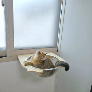 캣돌 고양이창문 해먹 창틀 윈도우 냥틀 소형 투명해먹 카펫미포함 3col... 솔직 후기 | 실제 사용자 리뷰 총정리 - 상품 이미지 3